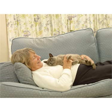 Purring away the blues