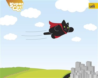 Cats Protection Wallpaper 2