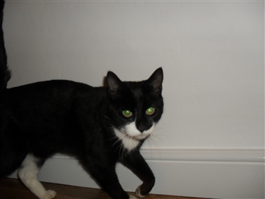 Can you sponsor a Golden Oldie