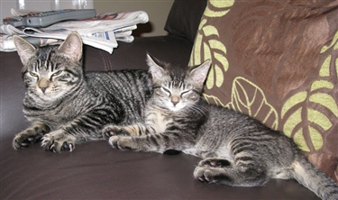 Vinnie and Alfie