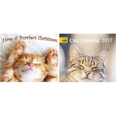 Cats Protection Christmas Fayre raised £103.70 Cats Protection Christmas Fayre raised £103.70
