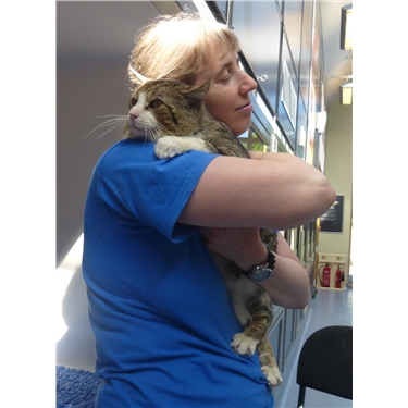 National Hug Your Cat Day National Hug Your Cat Day