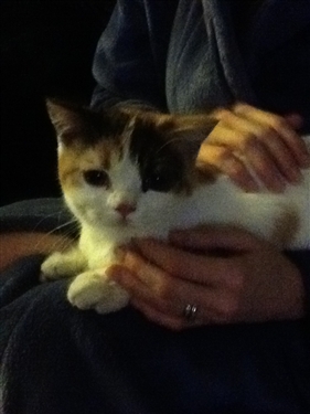 Bella comes home