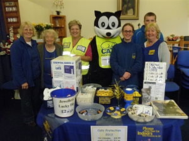 Are you interested in volunteering with us?