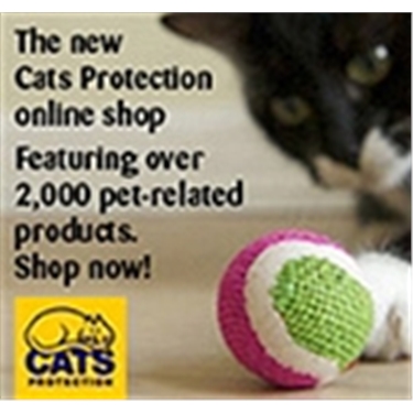 Cats Protection Cats Protection