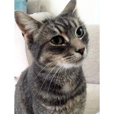 Tia goes to her forever home Tia goes to her forever home