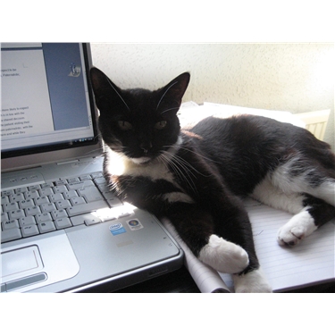 Holly`s AMAZING life Holly`s AMAZING life