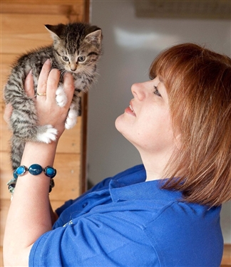 Recent rise in Cat Cruelty