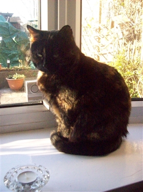 Heidie gets rehomed... at last!!