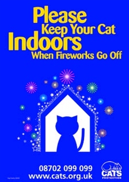Remember, remember…your cat during fireworks season Remember, remember…your cat during fireworks season