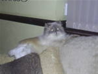 Leo and Misty Mitzy