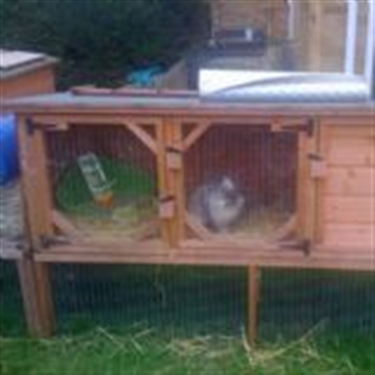 Do you have a spare rabbit Hutch?