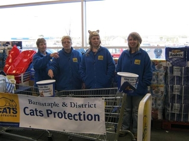 Tesco Collection day