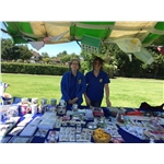 West Bletchley Carnival 2017 West Bletchley Carnival 2017