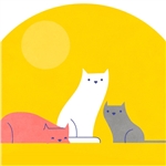 Cool for cats: how to keep your cat cool in Summer Cool for cats: how to keep your cat cool in Summer
