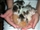 Homeless cats feel post-recession bite