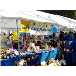 Carfax Event 