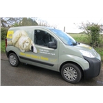 New Cat Van