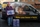 Supporter donates competition winnings in cat food 