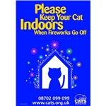 Remember Fireworks!
