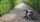 Feline Freddie is a National Trust Treasure