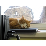 Jimmy has found his Forever Home 