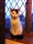 **URGENT** Indoor Cat Fosterers required 