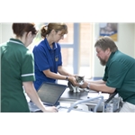 Cats Protection produces guide for the veterinary profession