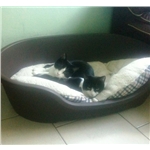 Update on Lulu & Lloyd