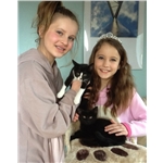1000 Cats Homed!