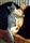Get your cat neutered with our help!