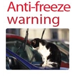 Antifreeze KILLS!!!