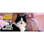 Climate of Confused Cat Advice Concerns Expectant Mums