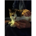 Bella comes home