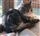 Cats Protection Cambridge reaching a wider audience