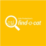 Find a cat at the click of a mouse