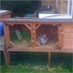 Do you have a spare rabbit Hutch?