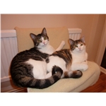 Tabitha and Winston