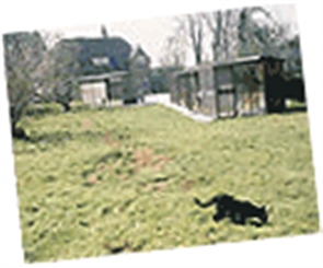 Haslemere shelter
