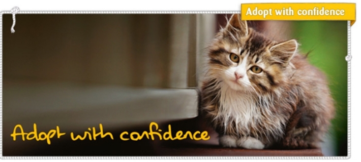 Adopt with confidence banner