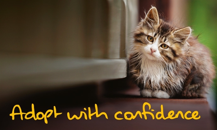 Adopt with confidence