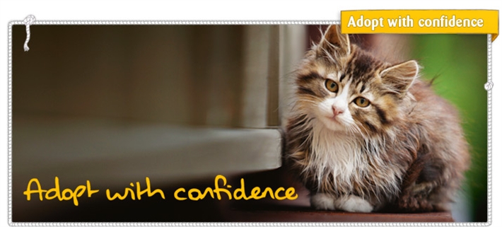 Adopt with confidence banner