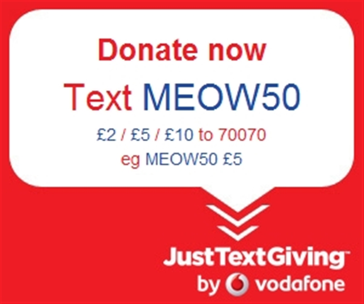 TextJustGiving