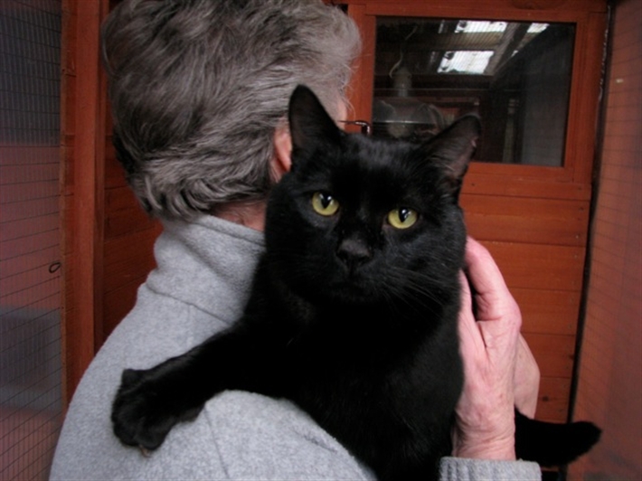 neutering page image