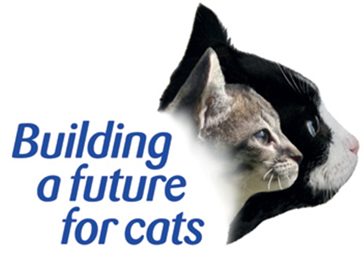 Building a future logo