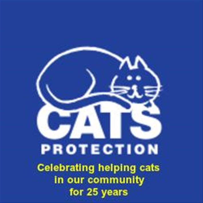 Celebrating helping cats in our community for 25 years