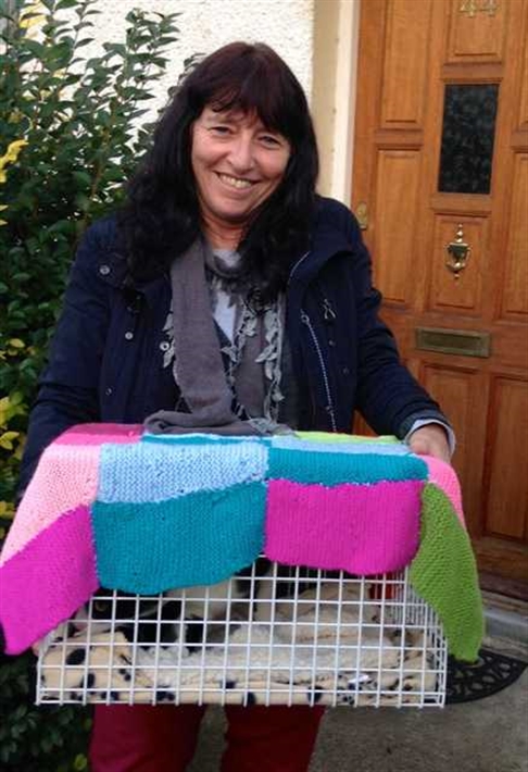 Carol holds a cat box outside a fosterers house