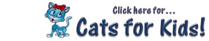 Cats Protection League Epsom Cats Protection League Epsom