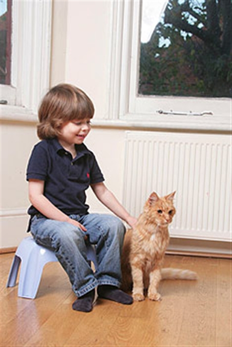 a boy and his ginger cat
