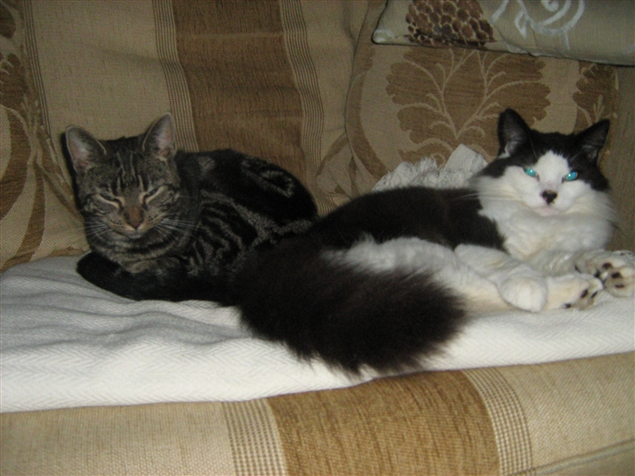 Emma and Timmy